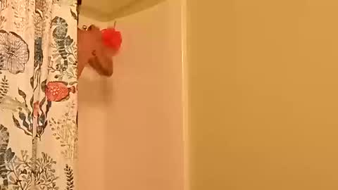 Snapshot of kyleisabadname chatting on October 2025 12:44:02 AM kyleisabadname online show from October 2025 12:44:02 AM