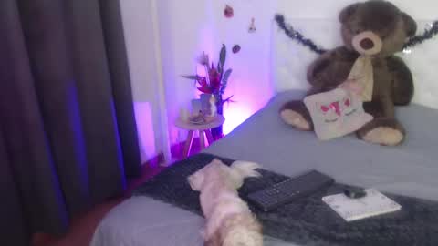 Sara online show from October 2025 01:17:02 AM