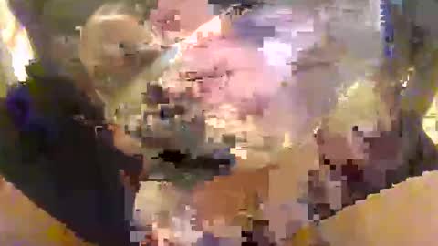 Snapshot of l0ngjohnsilv3er chatting on October 2025 04:52:02 PM l0ngjohnsilv3er online show from October 2025 04:52:02 PM