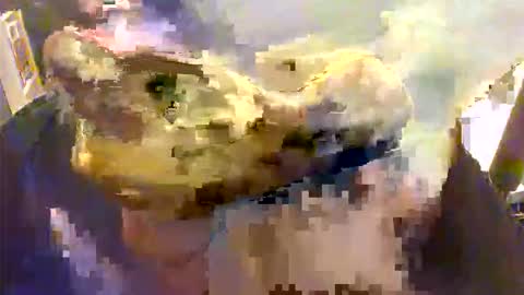 Snapshot of l0ngjohnsilv3er chatting on November 2025 07:15:01 PM l0ngjohnsilv3er online show from November 2025 07:15:01 PM