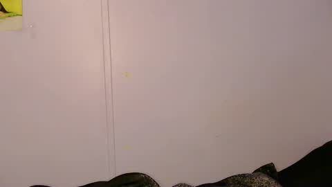 Snapshot of l1lybaby chatting on May 2026 09:17:01 AM Lily online show from May 2026 09:17:01 AM