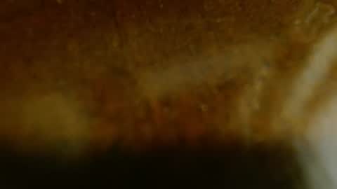 Snapshot of la_teaser chatting on November 2025 01:17:02 AM la teaser online show from November 2025 01:17:02 AM