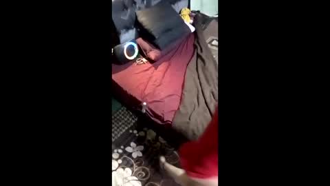 labestiareconoseme44420 online show from March 2026 07:45:01 AM