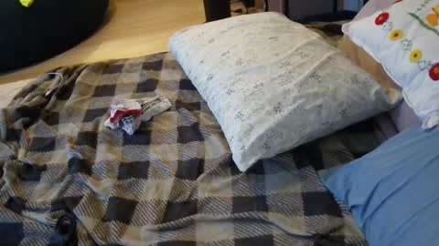 lacey_rose6 online show from July 2026 08:05:01 AM