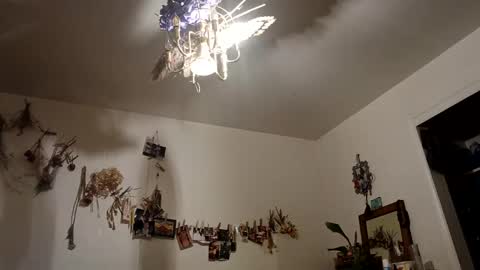 lacybell online show from October 2025 07:17:02 AM