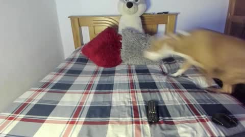 Snapshot of ladahear_ chatting on October 2025 01:07:02 PM Akyra online show from October 2025 01:07:02 PM