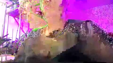 Lady Gloria online show from October 2025 07:38:02 AM