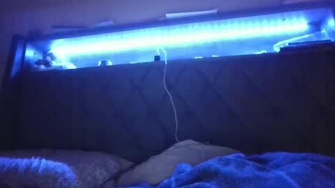 Snapshot of ladycinnabon chatting on February 2025 05:11:02 AM Stephanie online show from February 2025 05:11:02 AM