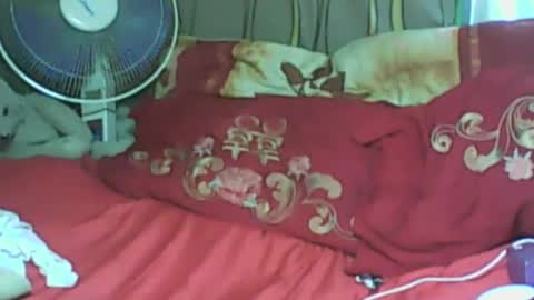 LadyXSnakes online show from January 2025 08:19:01 AM