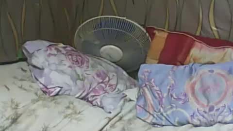 LadyXSnakes online show from February 2025 06:24:01 PM