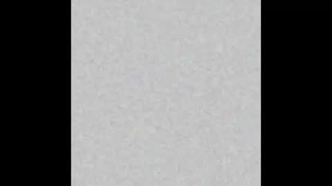  paola and a guest lol    online show from November 2025 10:04:02 AM