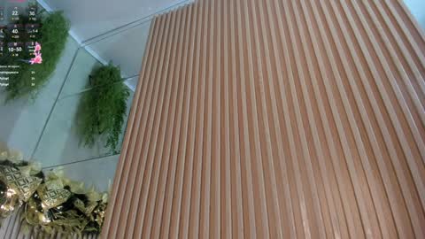 lana_lann online show from December 2024 03:37:02 PM