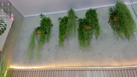 lana_lann online show from January 2025 05:56:01 PM