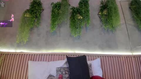 lana_lann online show from February 2025 02:54:02 PM