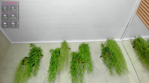 lana_lann online show from September 2025 11:48:01 AM