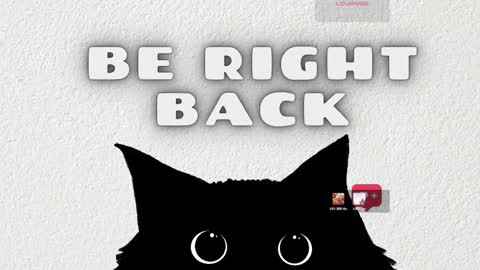 Lana online show from February 2026 04:08:01 AM