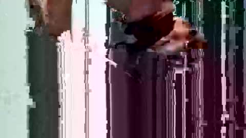 Snapshot of landon320972 chatting on September 2025 12:55:02 AM landon320972 online show from September 2025 12:55:02 AM