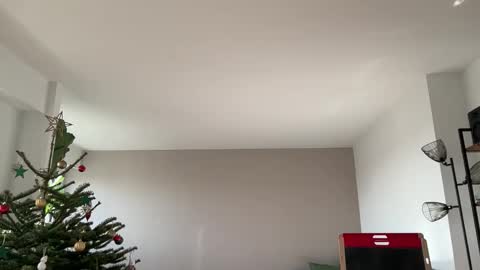 Snapshot of lanimalr chatting on December 2025 11:27:02 AM Lanimal online show from December 2025 11:27:02 AM