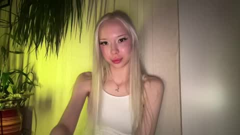 Stella online show from May 2026 08:14:02 PM