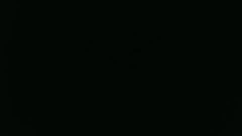 Snapshot of lariss__ chatting on February 2025 12:01:02 PM Lariss online show from February 2025 12:01:02 PM
