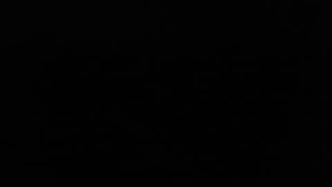 larry77733217 online show from February 2025 09:56:02 PM