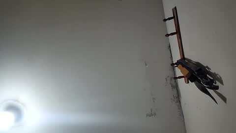 CHARLES ROBERT online show from December 2025 03:30:02 PM