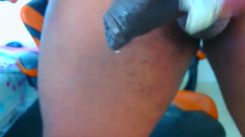 blackBear online show from February 2026 04:06:02 PM