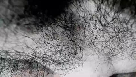 Snapshot of latinhotboys1 chatting on February 2025 01:31:02 PM Zeus online show from February 2025 01:31:02 PM