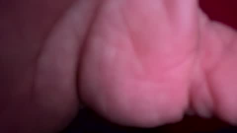 latinotx30191634 online show from February 2026 07:00:02 PM