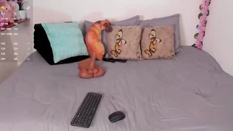 laura1__ online show from December 2025 11:31:02 PM