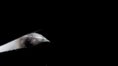 Snapshot of laura_pervert_ chatting on December 2024 09:00:02 PM Laura online show from December 2024 09:00:02 PM