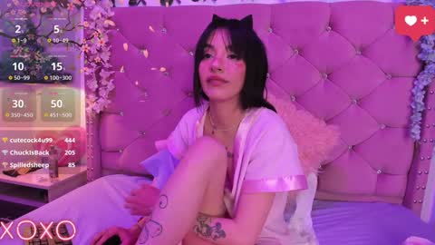 Lauren evans9 online show from January 2025 07:45:01 AM