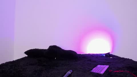 Snapshot of laurensmith9 chatting on September 2025 12:42:01 PM laurensmith9 online show from September 2025 12:42:01 PM