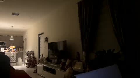 Snapshot of law_cambio chatting on December 2024 11:31:02 AM law_cambio online show from December 2024 11:31:02 AM