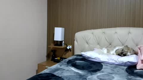 kelly online show from July 2026 09:10:02 PM
