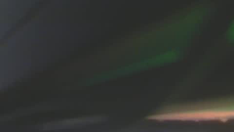 leowolf online show from December 2024 06:50:01 PM