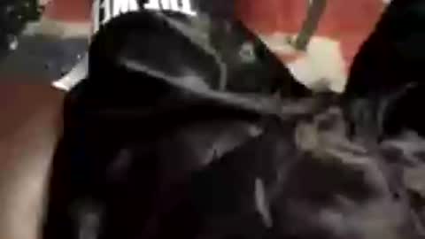 leatherpants68 online show from June 2026 09:09:01 PM