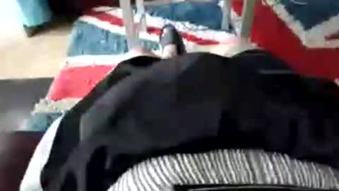 leatherpants68 online show from July 2026 09:05:01 AM