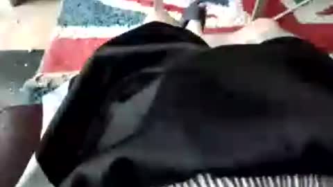 leatherpants68 online show from July 2026 08:40:02 AM