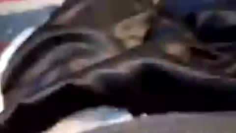 leatherpants68 online show from July 2026 08:12:02 PM