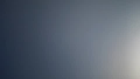 Snapshot of lechiffre1205 chatting on February 2025 11:36:02 AM Michel online show from February 2025 11:36:02 AM