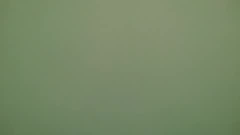 Snapshot of lechiffre1205 chatting on November 2025 06:32:01 PM Michel online show from November 2025 06:32:01 PM