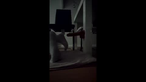 leehillery1 online show from December 2025 01:44:01 AM