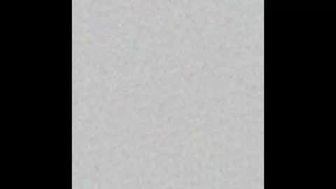 Snapshot of leejhonsonnn chatting on October 2025 12:05:02 PM leejhonsonnn online show from October 2025 12:05:02 PM