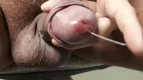 legofactory online show from November 2025 05:09:02 AM