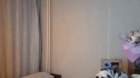 Mia online show from April 2026 02:30:01 PM