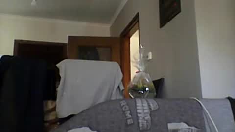 Snapshot of lelshop chatting on December 2024 09:57:01 AM lelshop online show from December 2024 09:57:01 AM