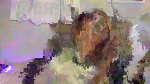 Snapshot of lemonkuilt chatting on January 2025 03:32:02 AM Jennifer online show from January 2025 03:32:02 AM