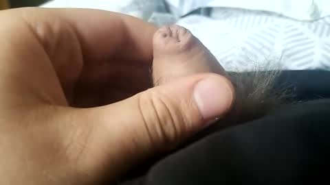 leo20the20masteg201252 online show from April 2026 11:05:02 AM