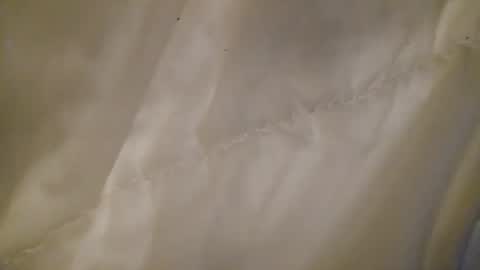 leojenks online show from February 2026 07:02:02 AM